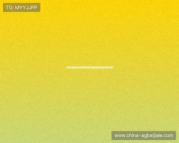 百家乐投注公式的详细解析与实战技巧，帮助玩家提升胜率的必备指南