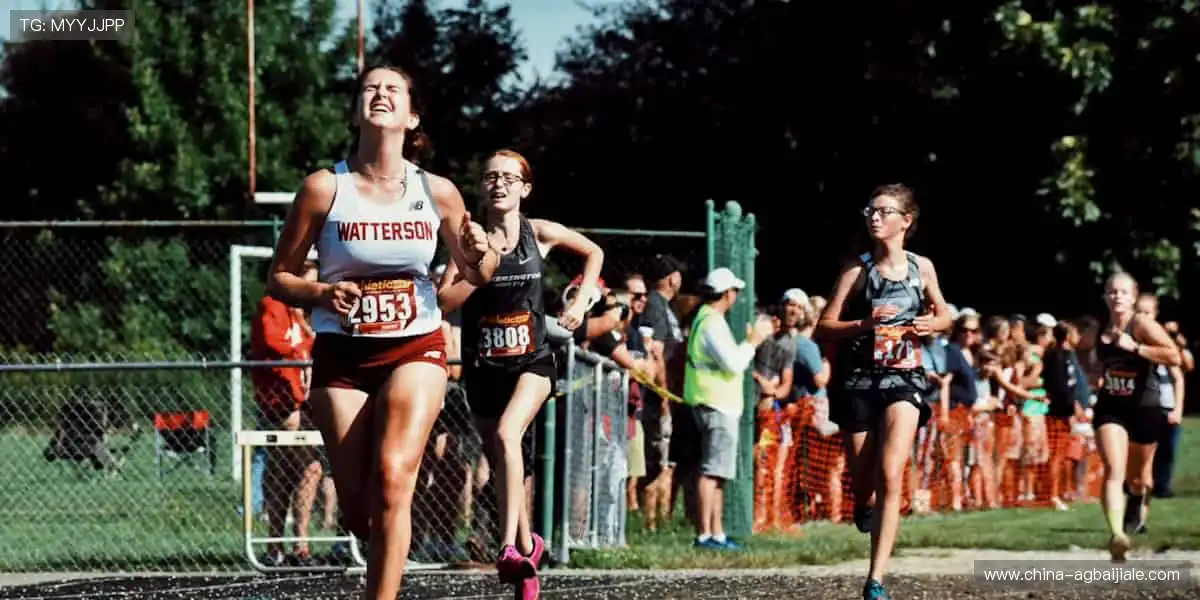 街霸5电竞职业赛：格斗电竞硬核对决，每一个立回都是博弈